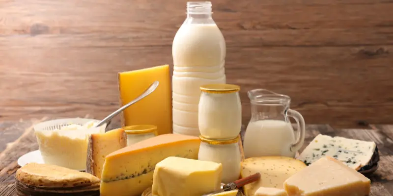 Different types of dairy products 1 Different Types Of Dairy Products