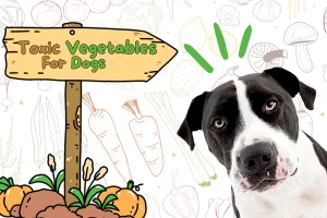 Toxic Vegetables For Dogs: A Must-Read Guide