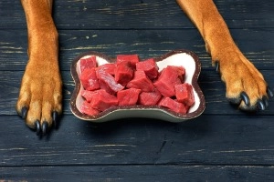 Best Meat for Dogs: Top Protein Picks for Happy & Healthy Pets