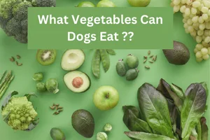 What Vegetables Are Safe for Dogs?